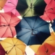 Bunte Regenschirme als symbolischer Versicherungsschutz
